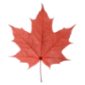 danelloyd.ca