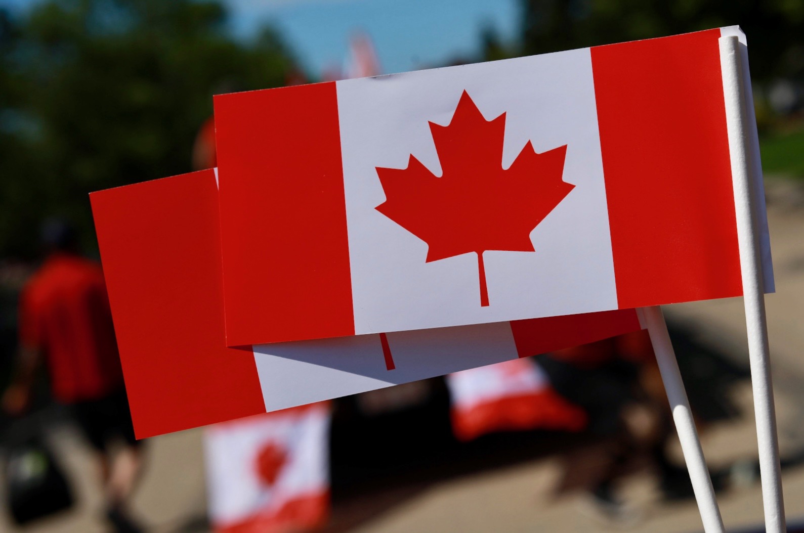 Dane Lloyd — professional photograph